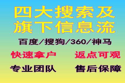 探索SEM优化托管的成功案例与策略